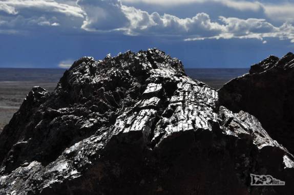 parece madeira de verdade, mas é uma árvore transformada em rocha há 150 milhões de anos, no Monumento Natural Bosques Petrificados, região de Caleta Olivia, no sul da Argentina